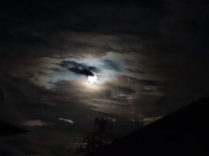 玉垣からの風景⑥今日は双子座の満月です-01