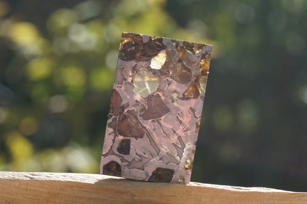 パラサイト隕石 ロシア セイムチャン産 希少 高品質 リアファル 玉垣