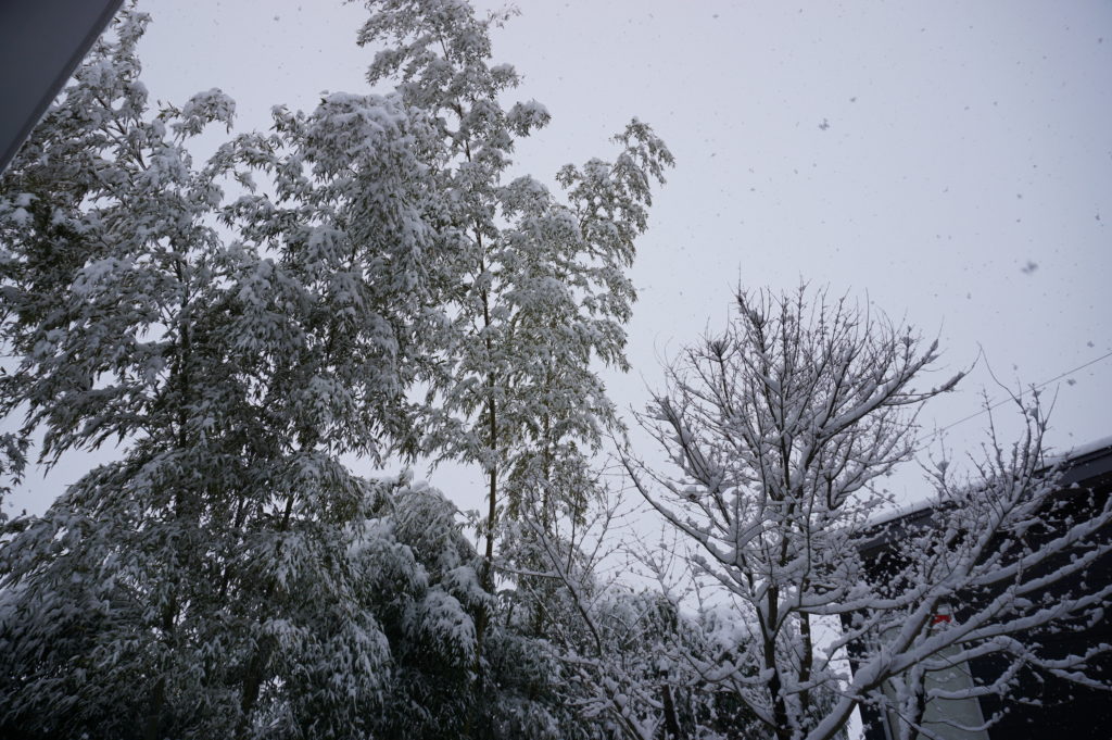 玉垣からの風景 降雪から積雪へ