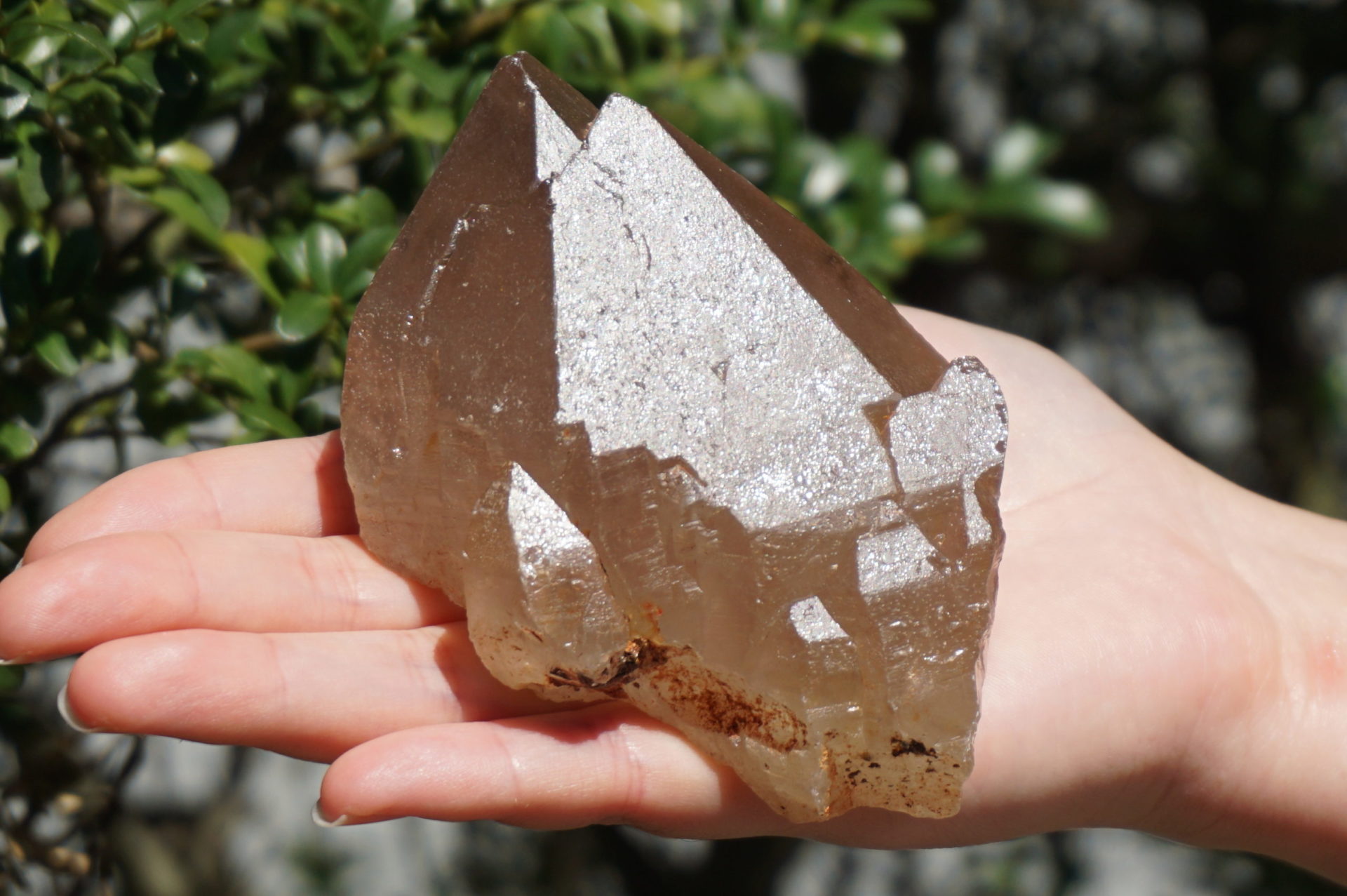 ⭐️9.63g イミラック パラサイト 隕石 Imilac Pallasite 【公式通販】