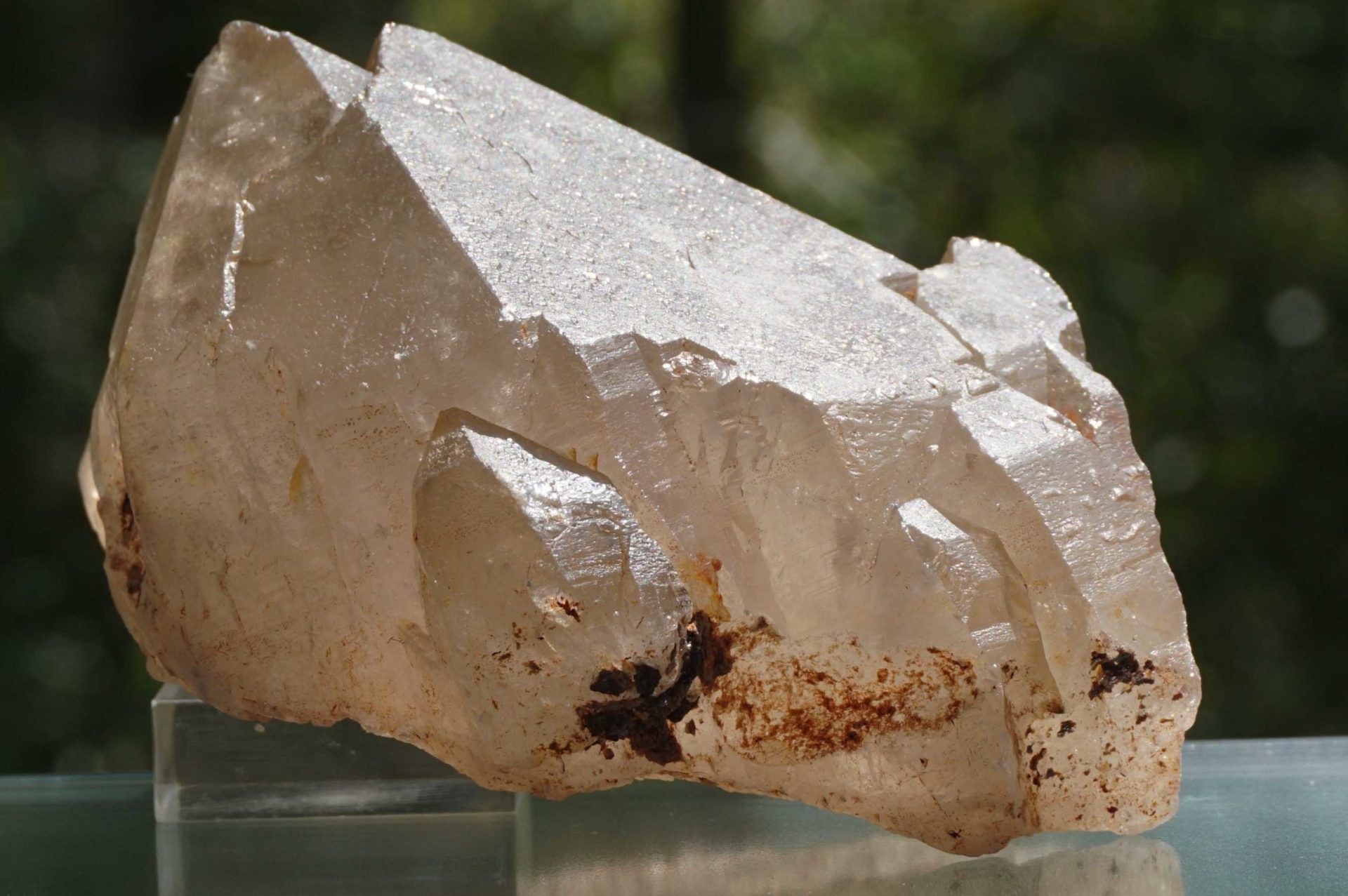 i-trigonic-mondo-quartz
