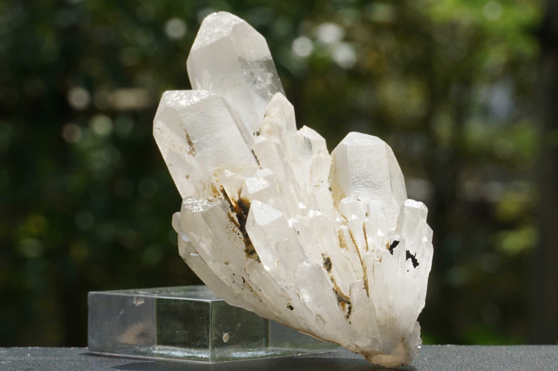 abundance-quartz05