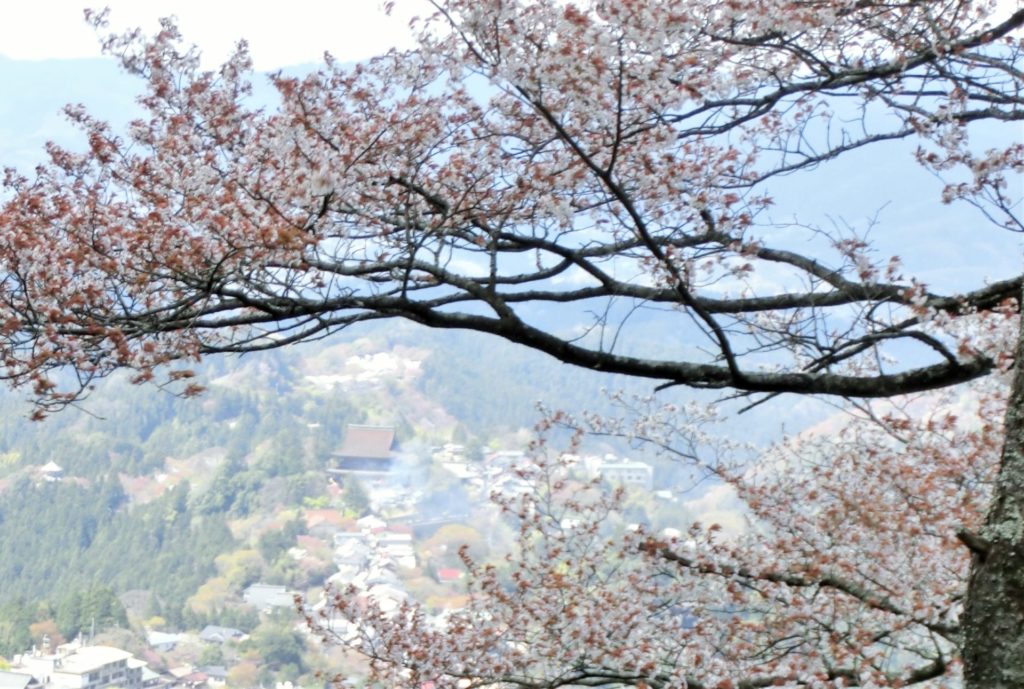 奈良県産 吉野桜・春日の大欅・屋久杉ブレスレット
