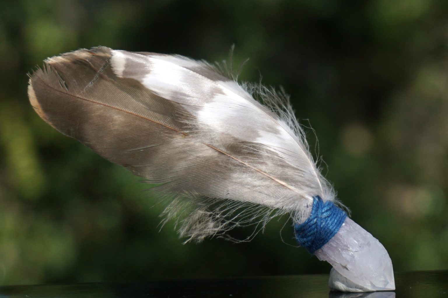 ootaka-feather-wand16
