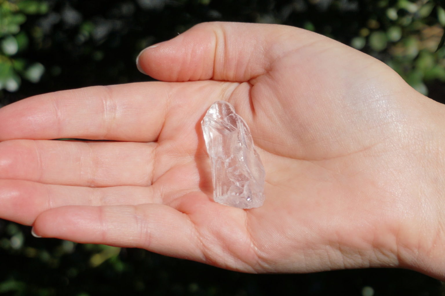 pure-ray-lemurian-roots09