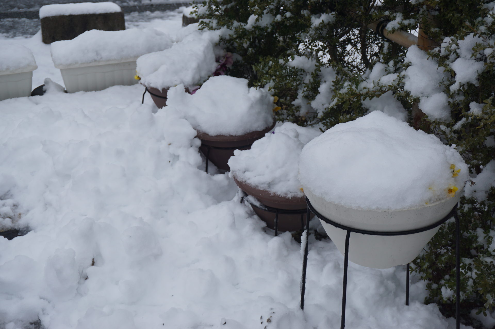 玉垣からの風景 かみ雪 カミ雪 上雪 神雪 05