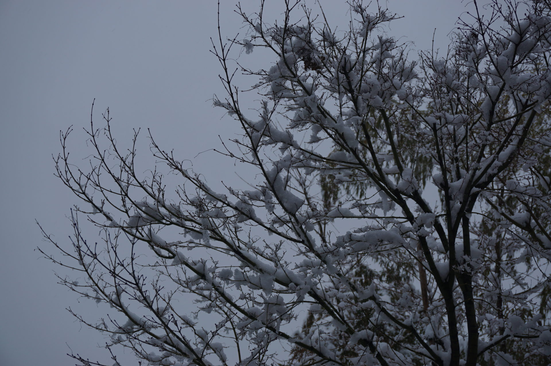 玉垣からの風景 かみ雪 カミ雪 上雪 神雪 06