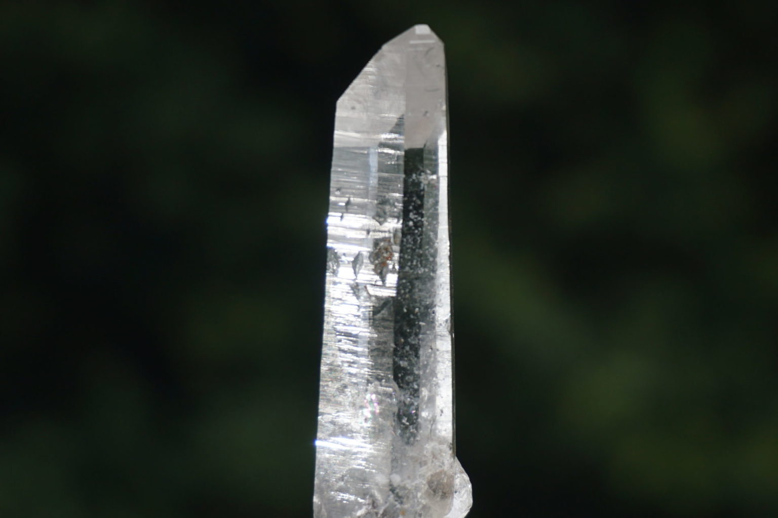 sentient-plasma-crystal63