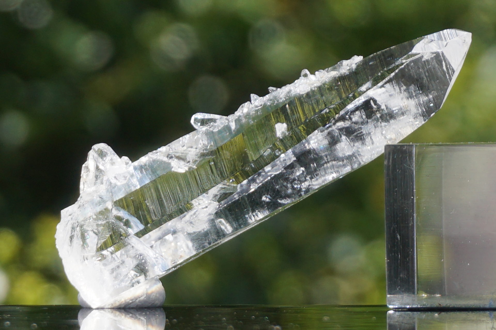 美✨超希少✨AAAAA 特大 コロンビアレムリアン✨my collection✨ 美✨超希少✨AAAAA 特大 コロンビアレムリアン✨my collection✨ 美