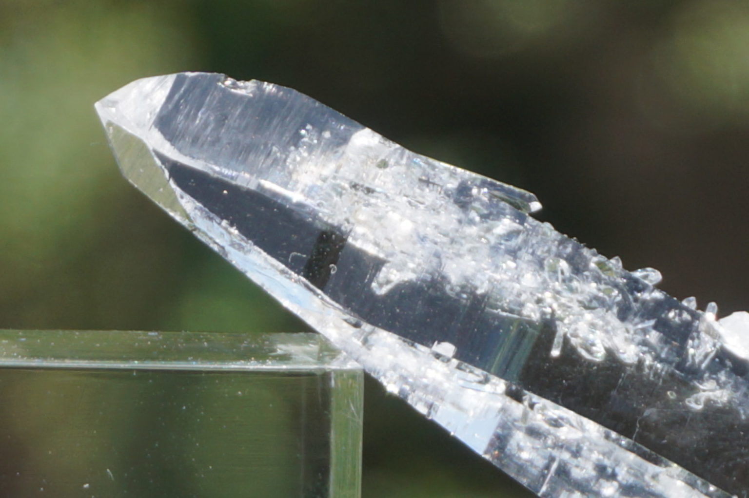 コロンビアレムリアン【最高品質・希少】 - リアファル