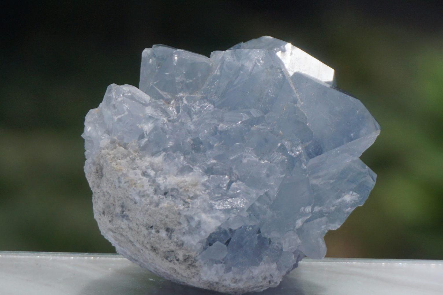 celestite28
