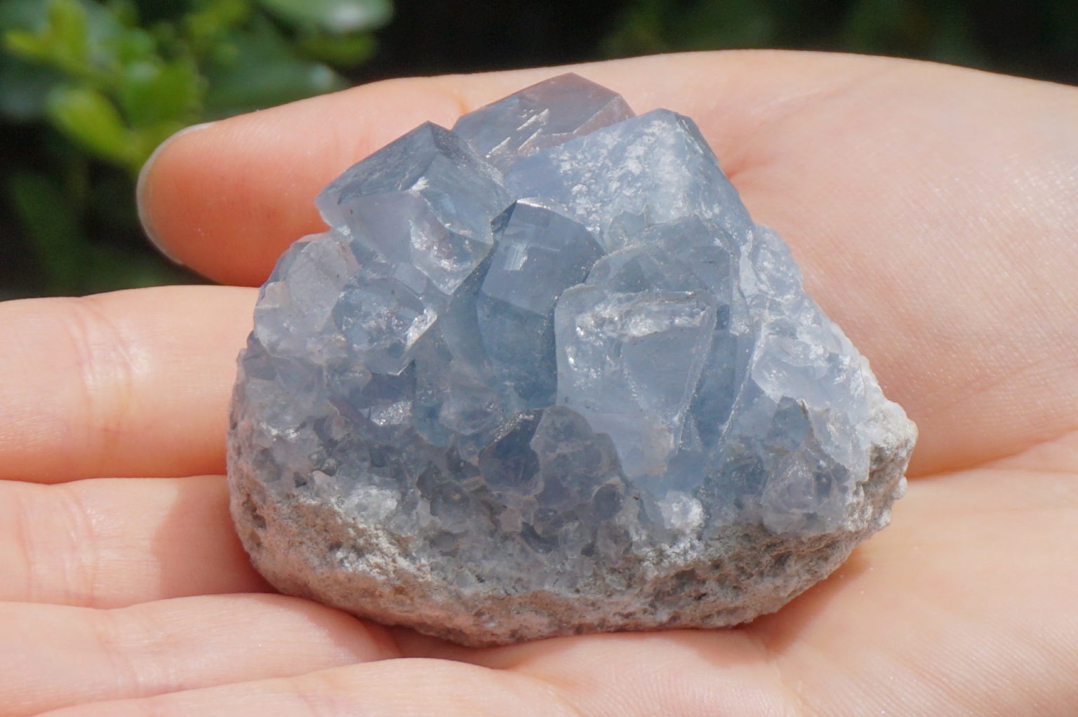 celestite28