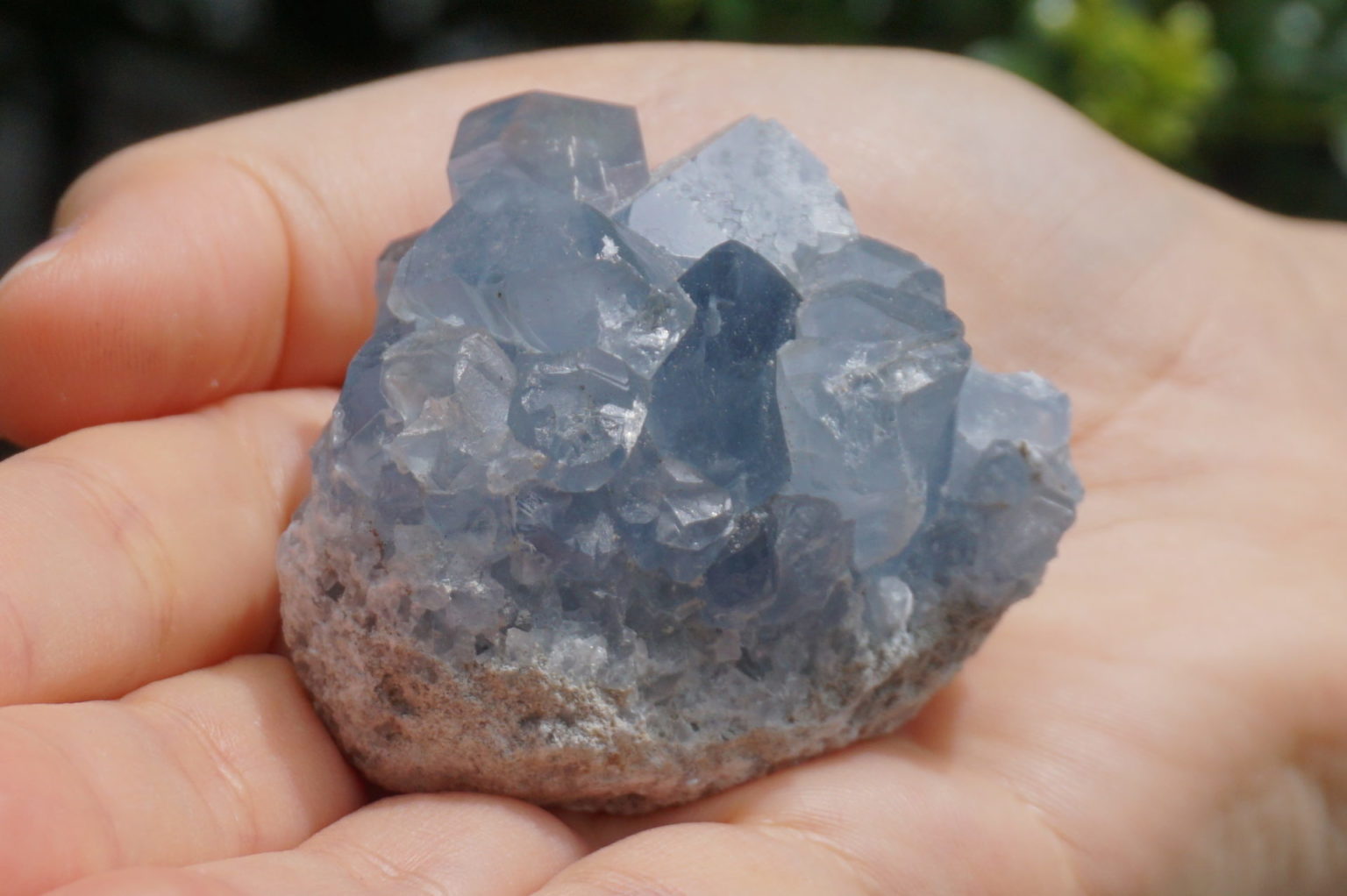 celestite28