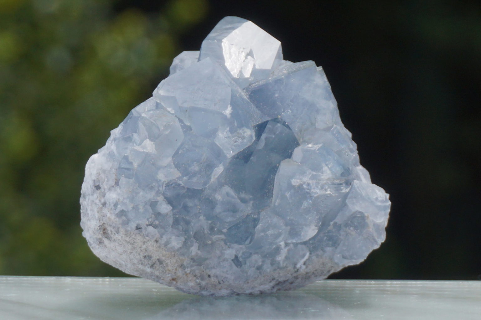 celestite28