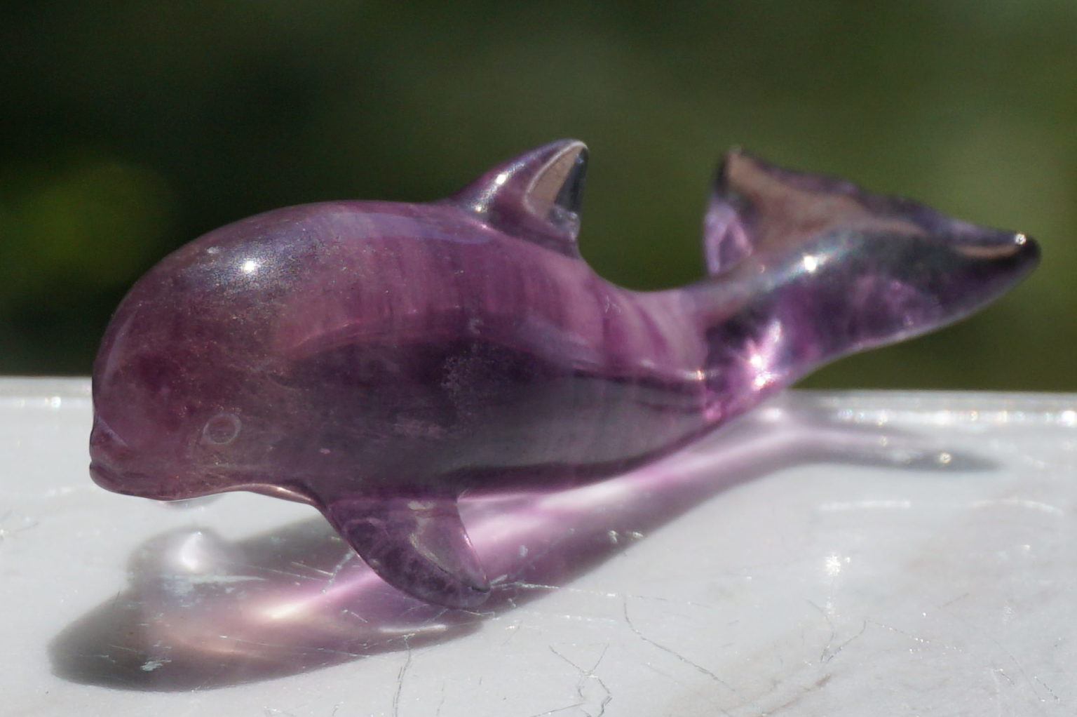 a-fluorite-dolphin01