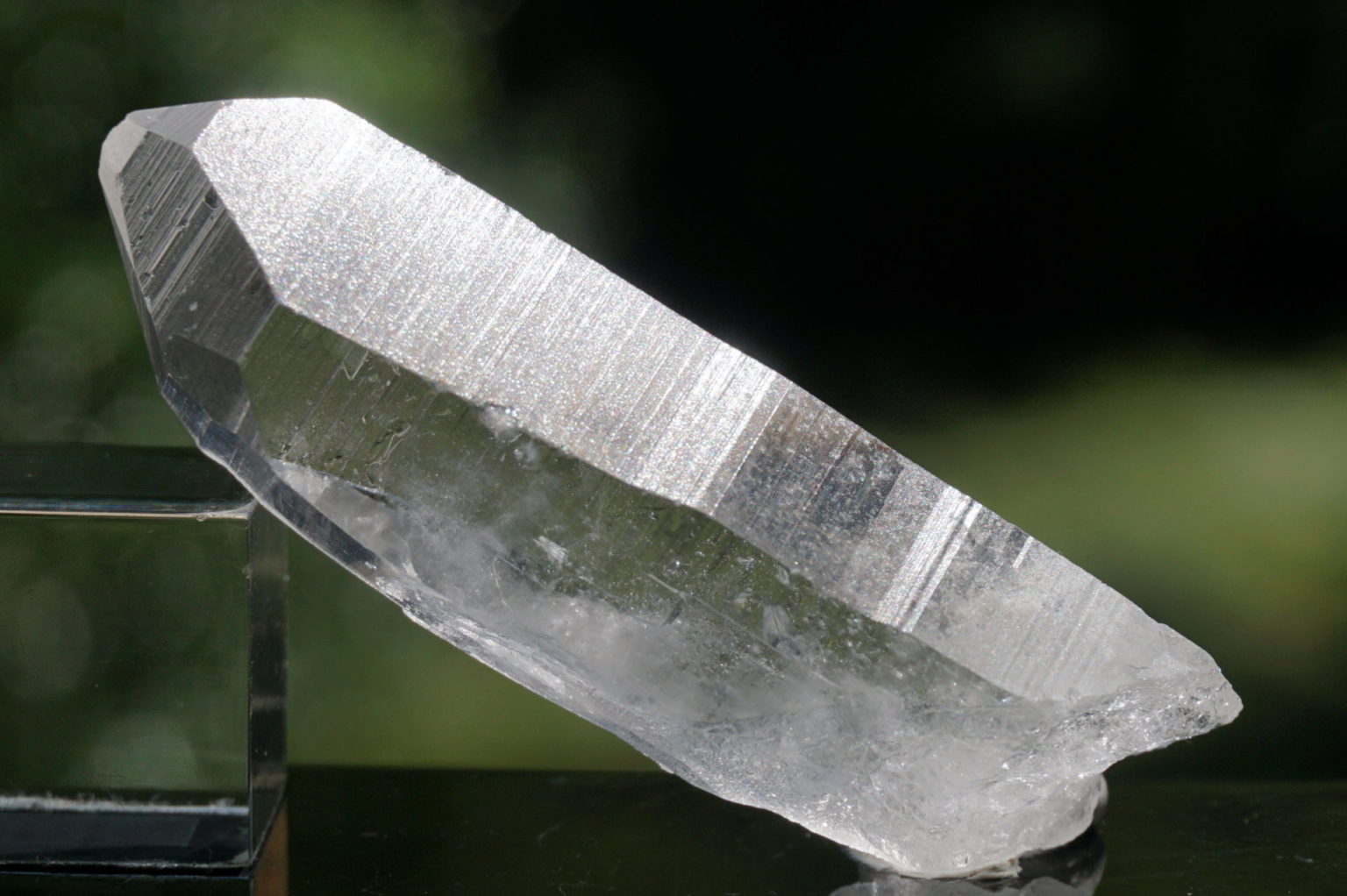 bahia-lemurain-natural13