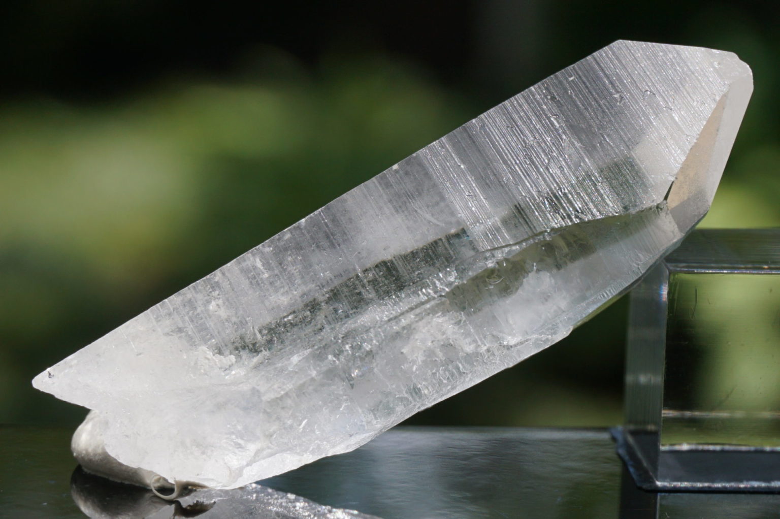 bahia-lemurain-natural13