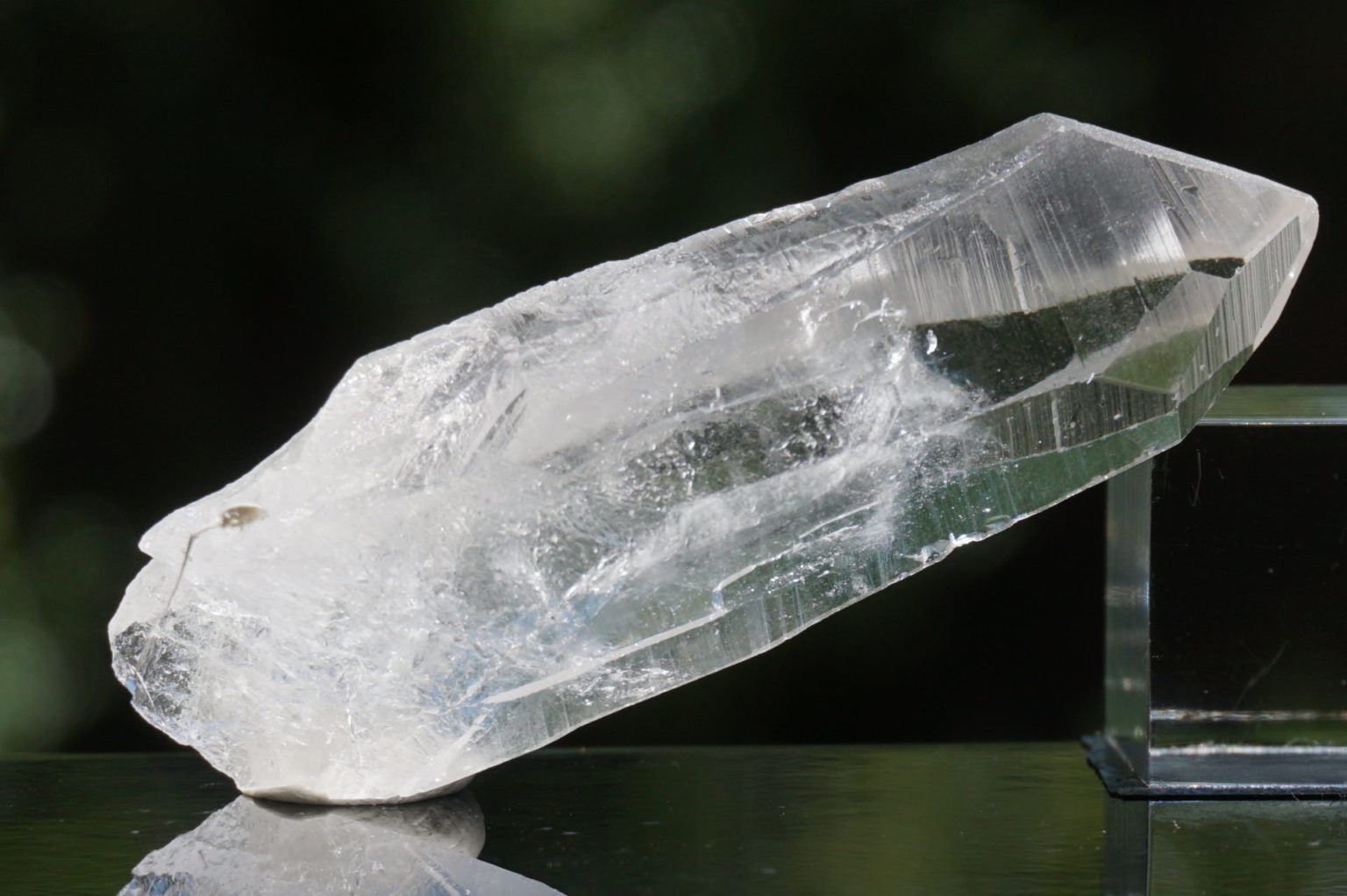 bahia-lemurain-natural13