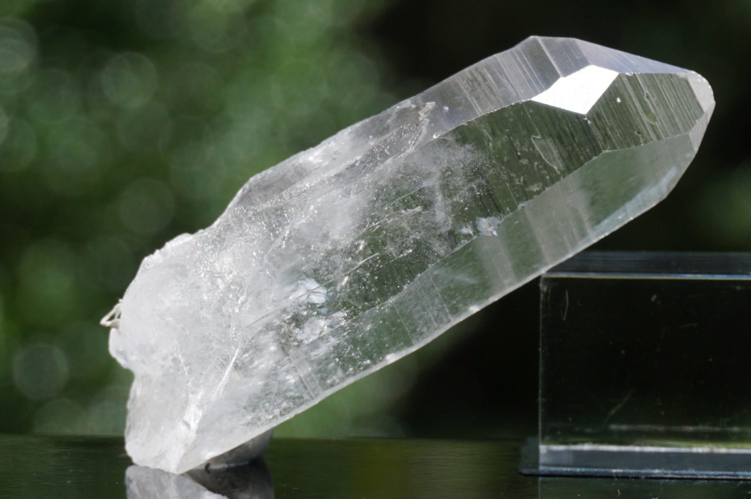 bahia-lemurain-natural13