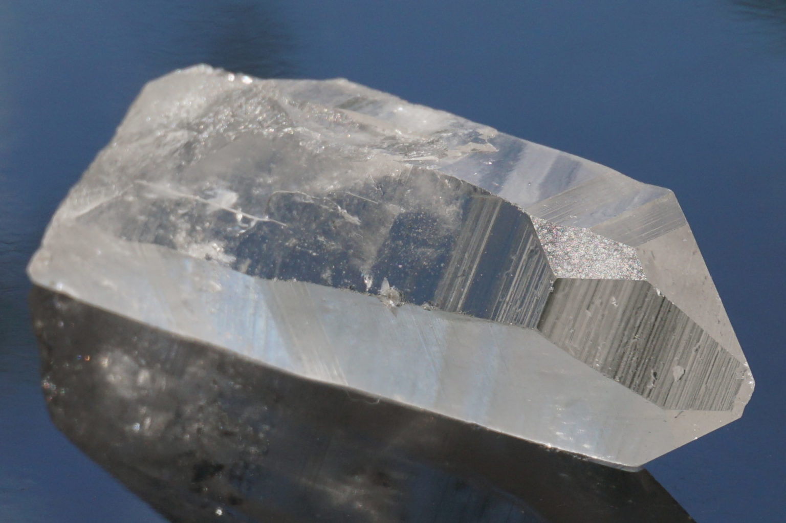 bahia-lemurain-natural13