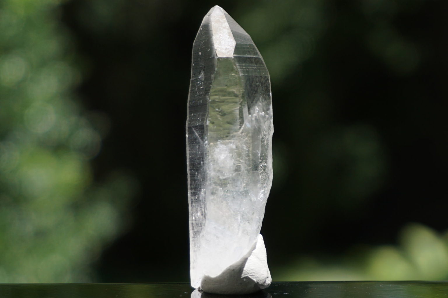 bahia-lemurain-natural13