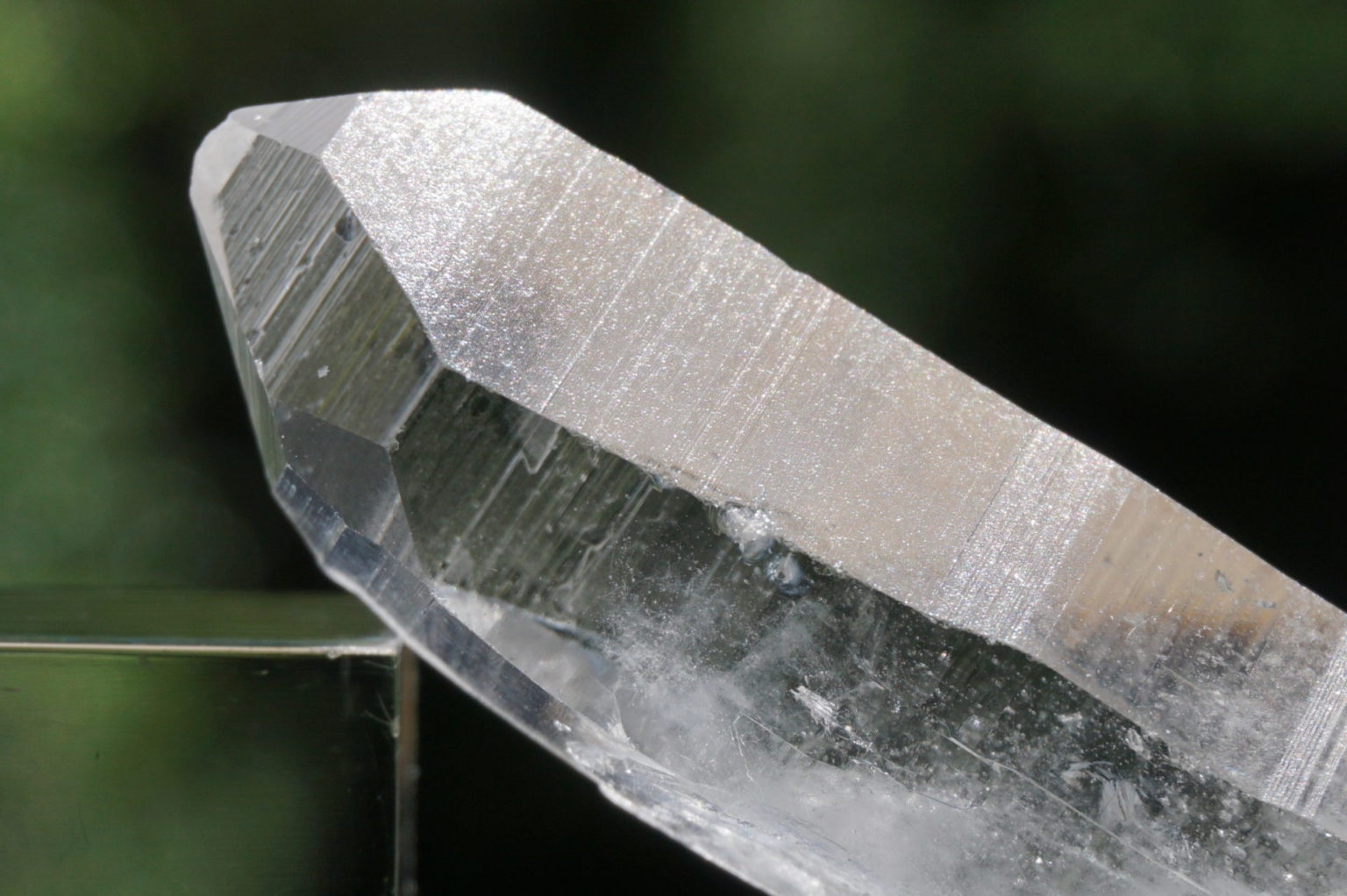 bahia-lemurain-natural13