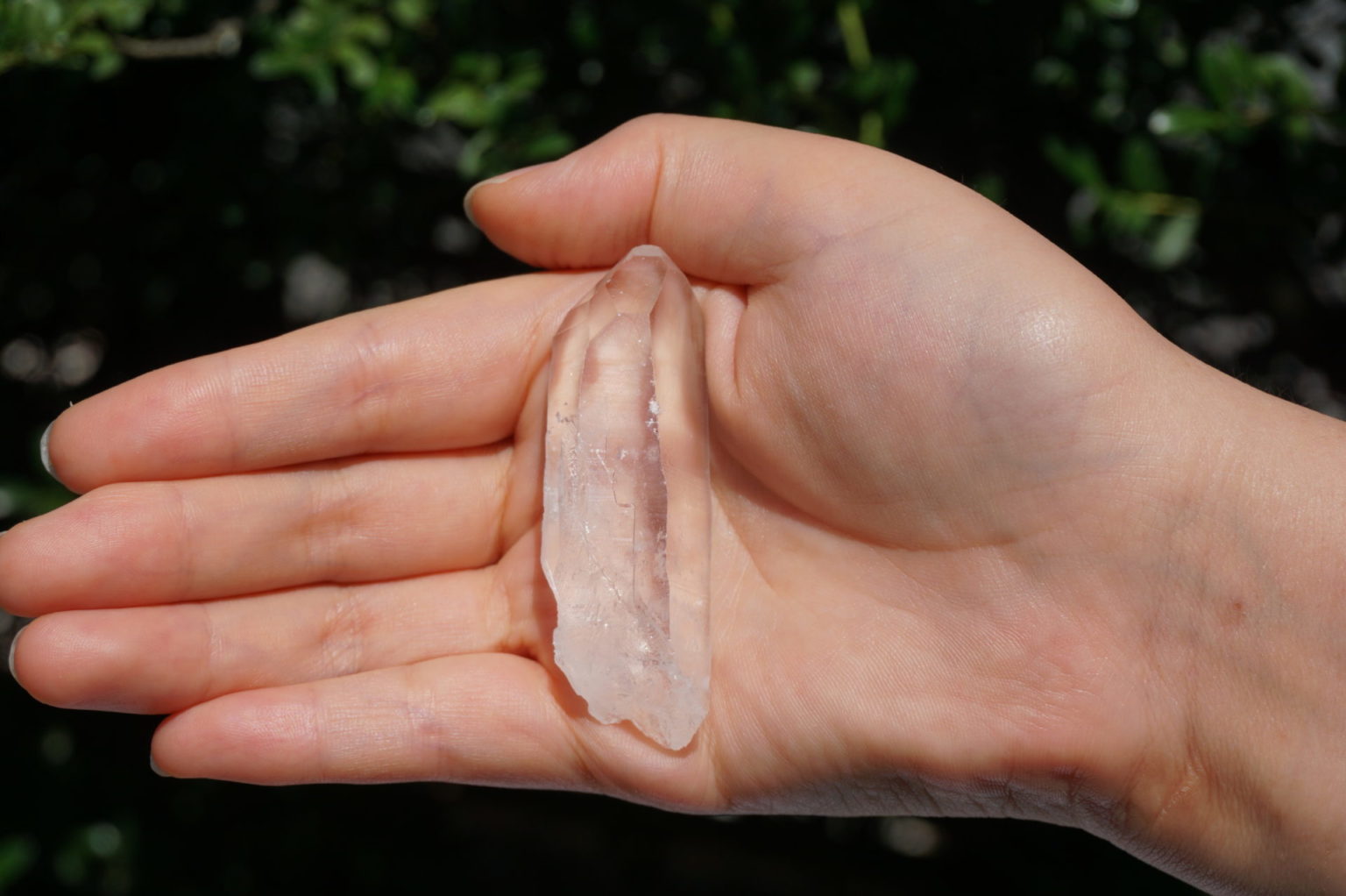 bahia-lemurain-natural13