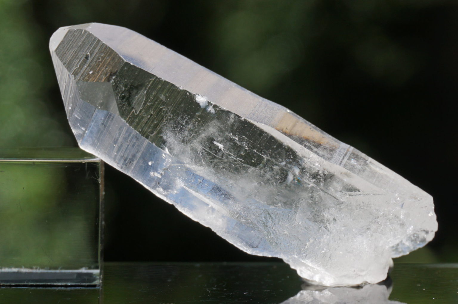 bahia-lemurain-natural13