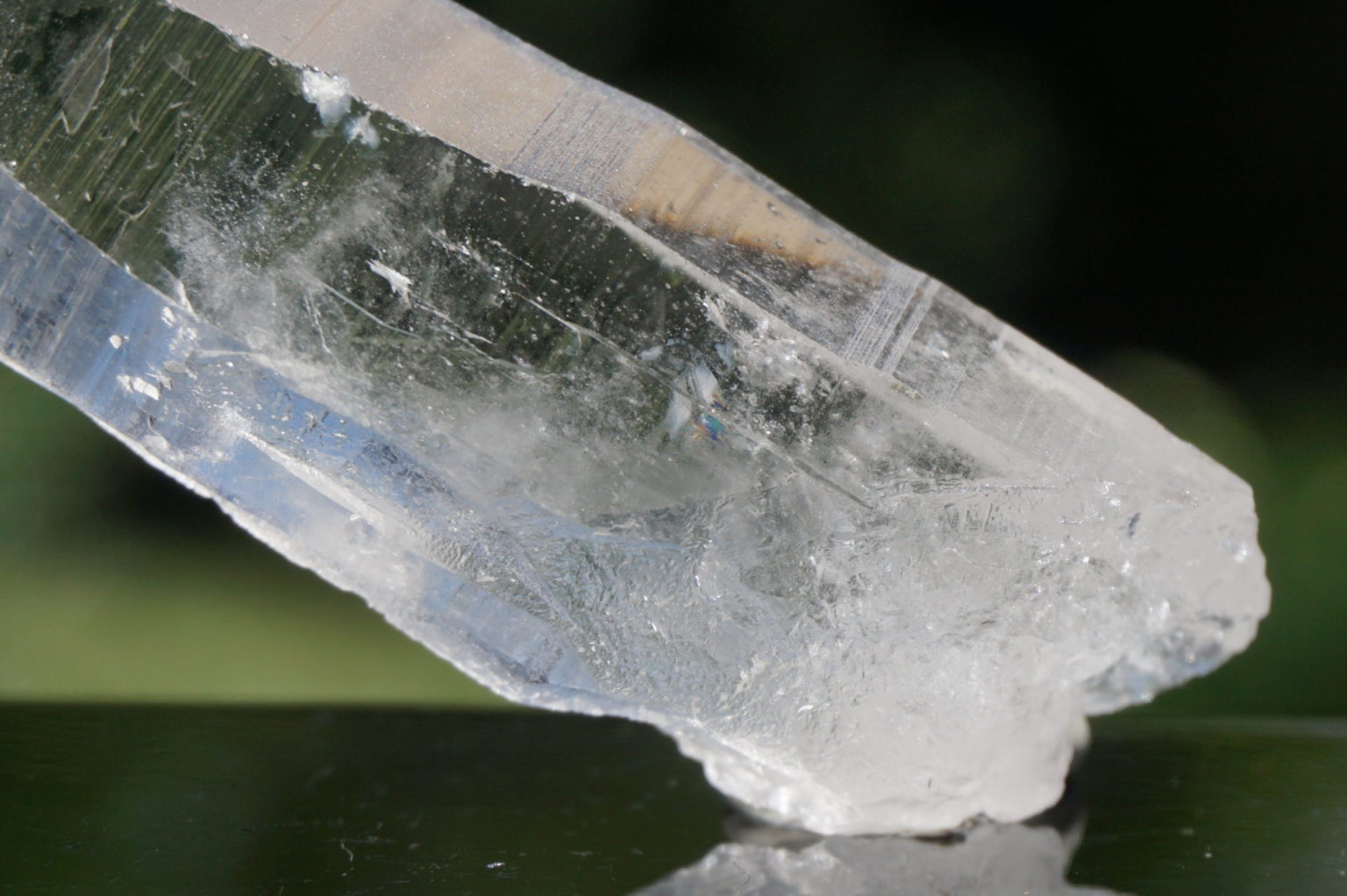 bahia-lemurain-natural13