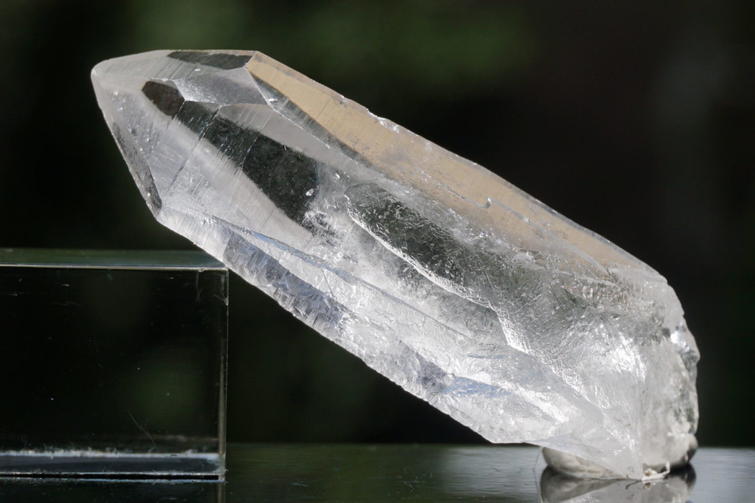 bahia-lemurain-natural13