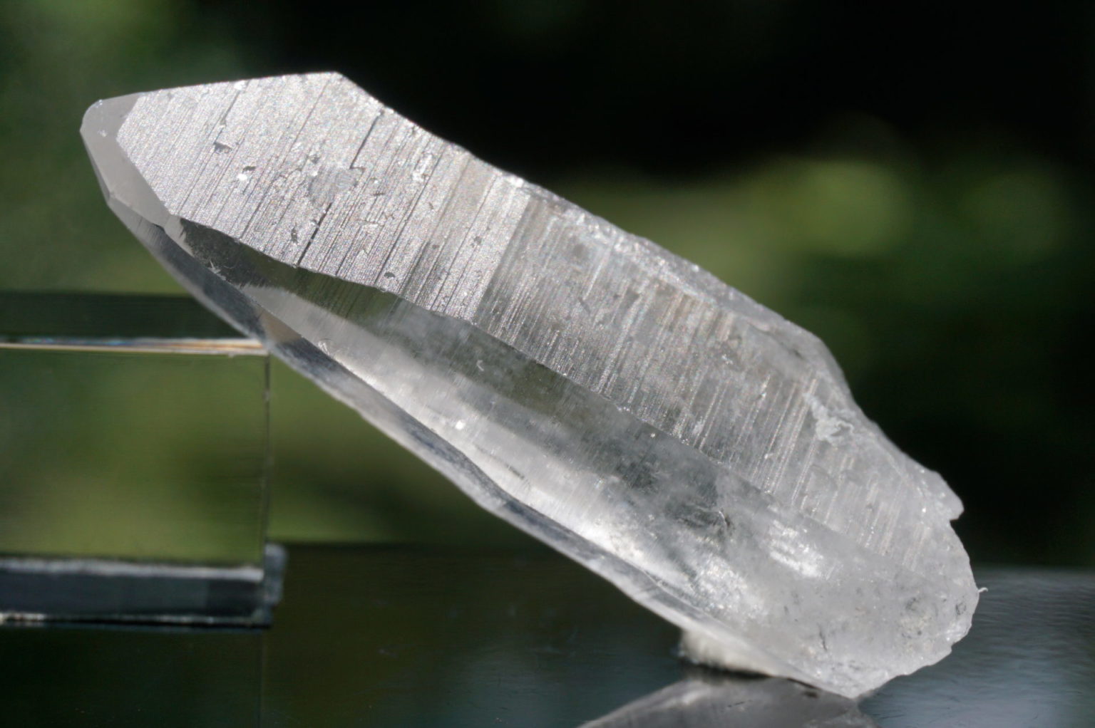 bahia-lemurain-natural13