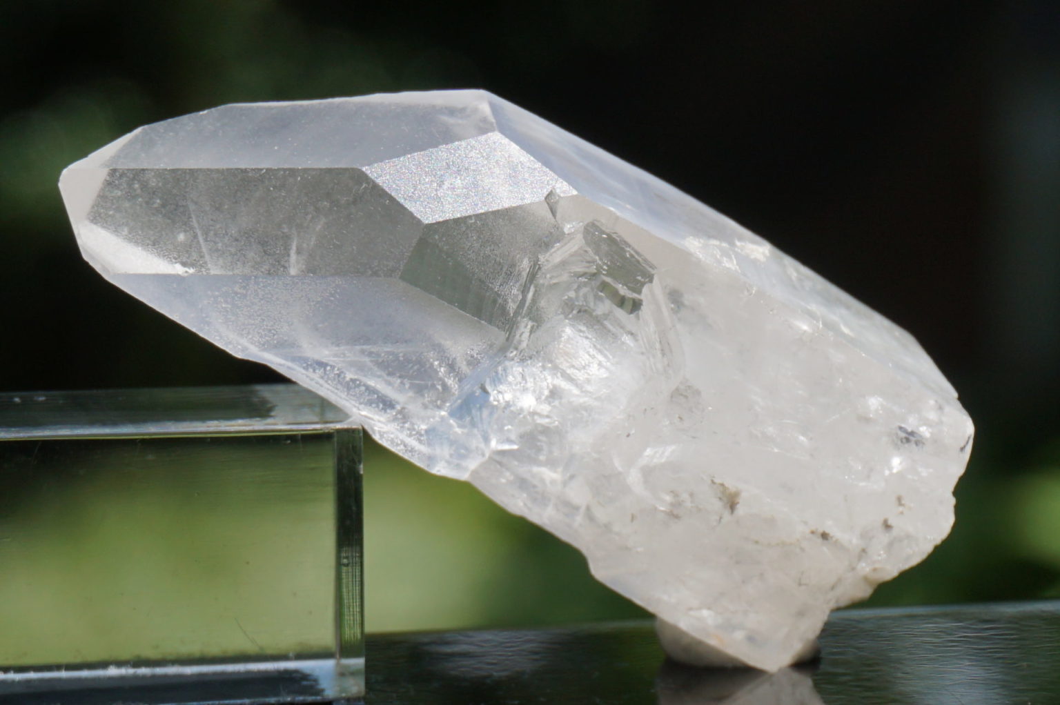 bahia-lemurain-natural14