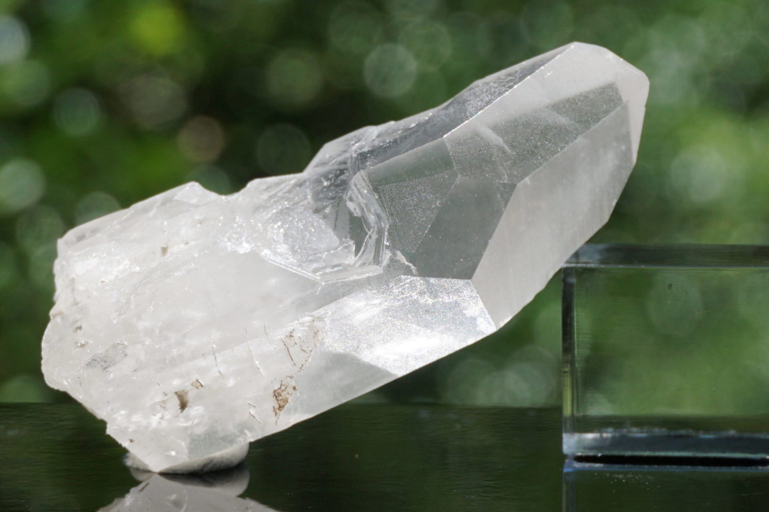 bahia-lemurain-natural14