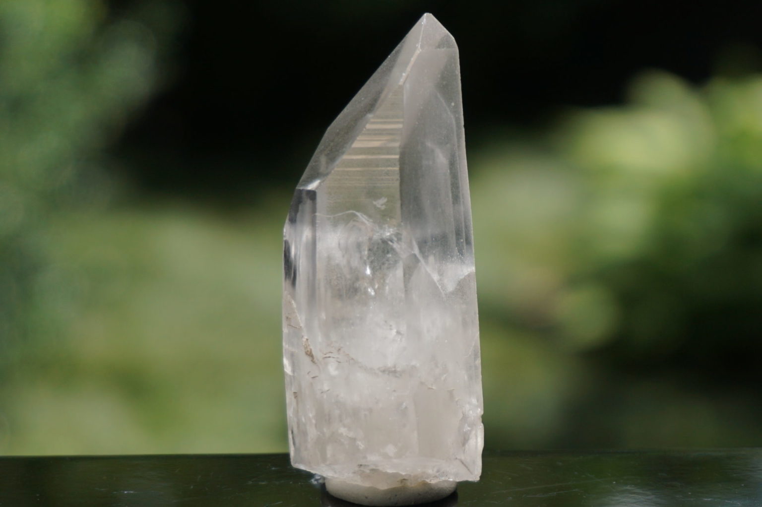 bahia-lemurain-natural14