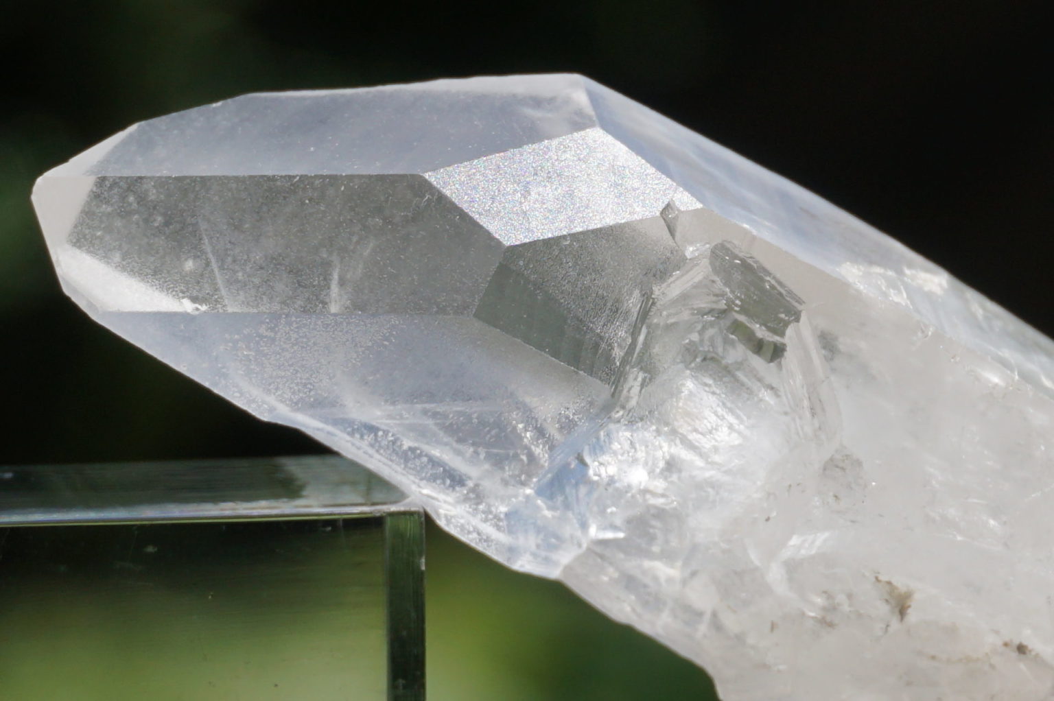 bahia-lemurain-natural14