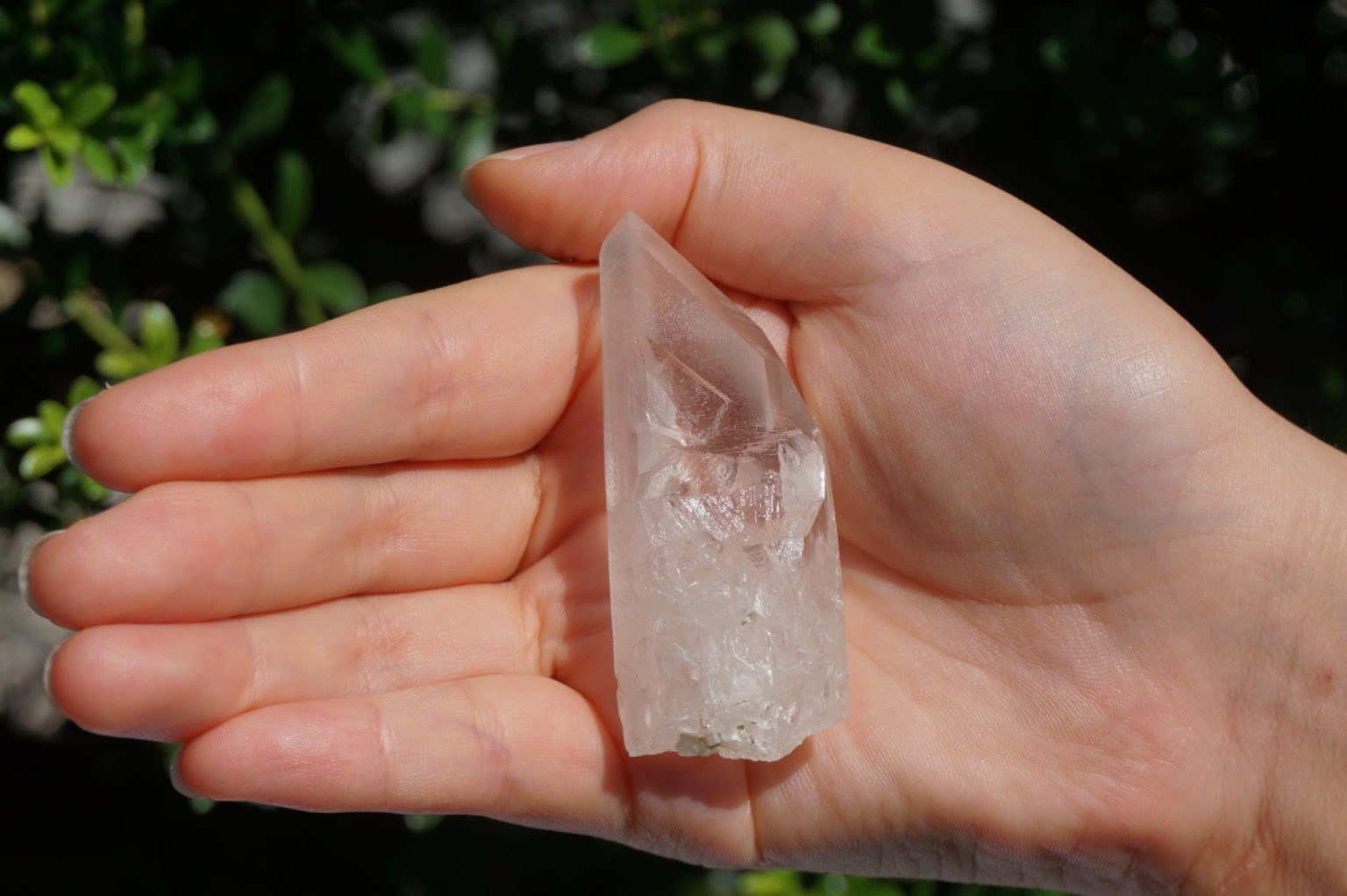 bahia-lemurain-natural14