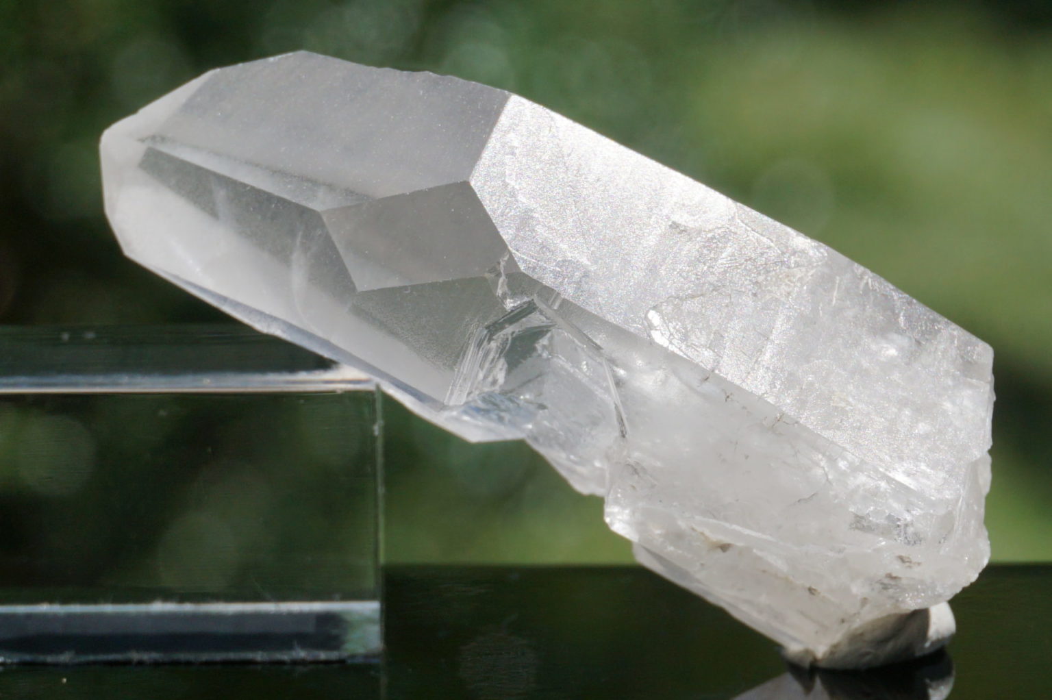 bahia-lemurain-natural14