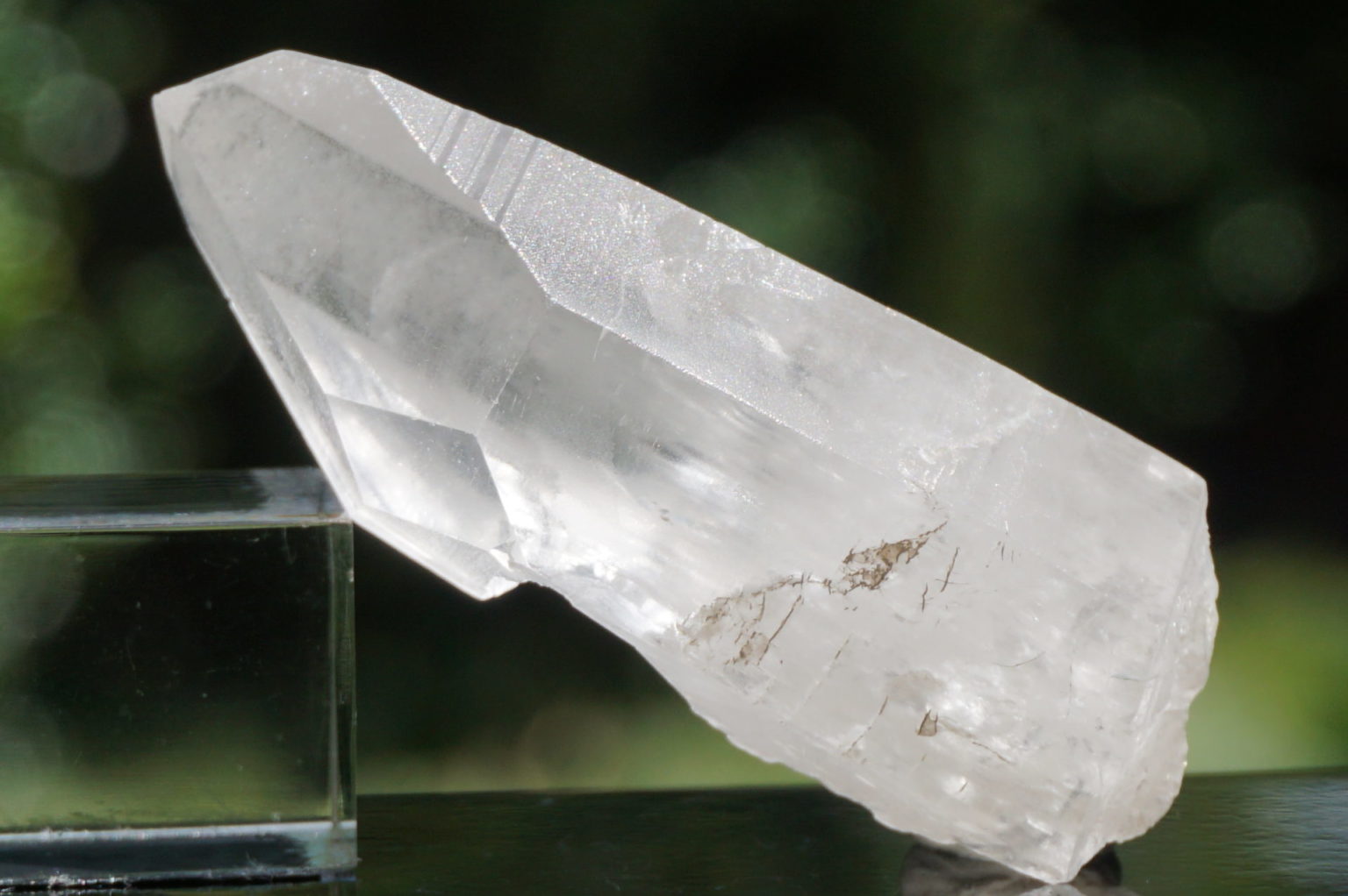 bahia-lemurain-natural14