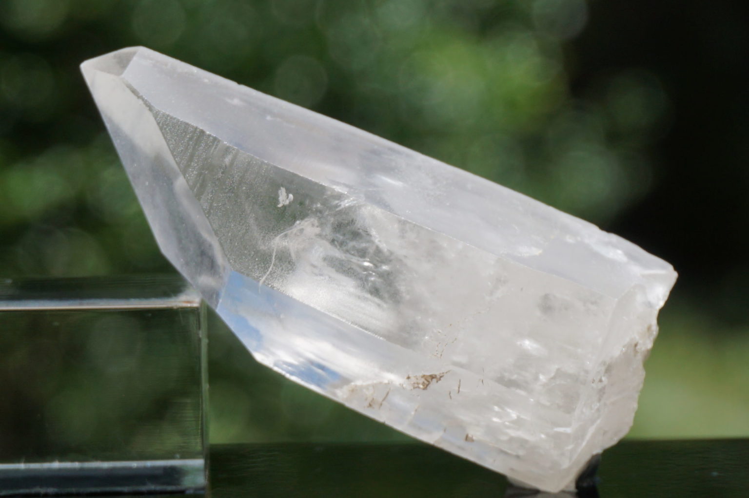 bahia-lemurain-natural14