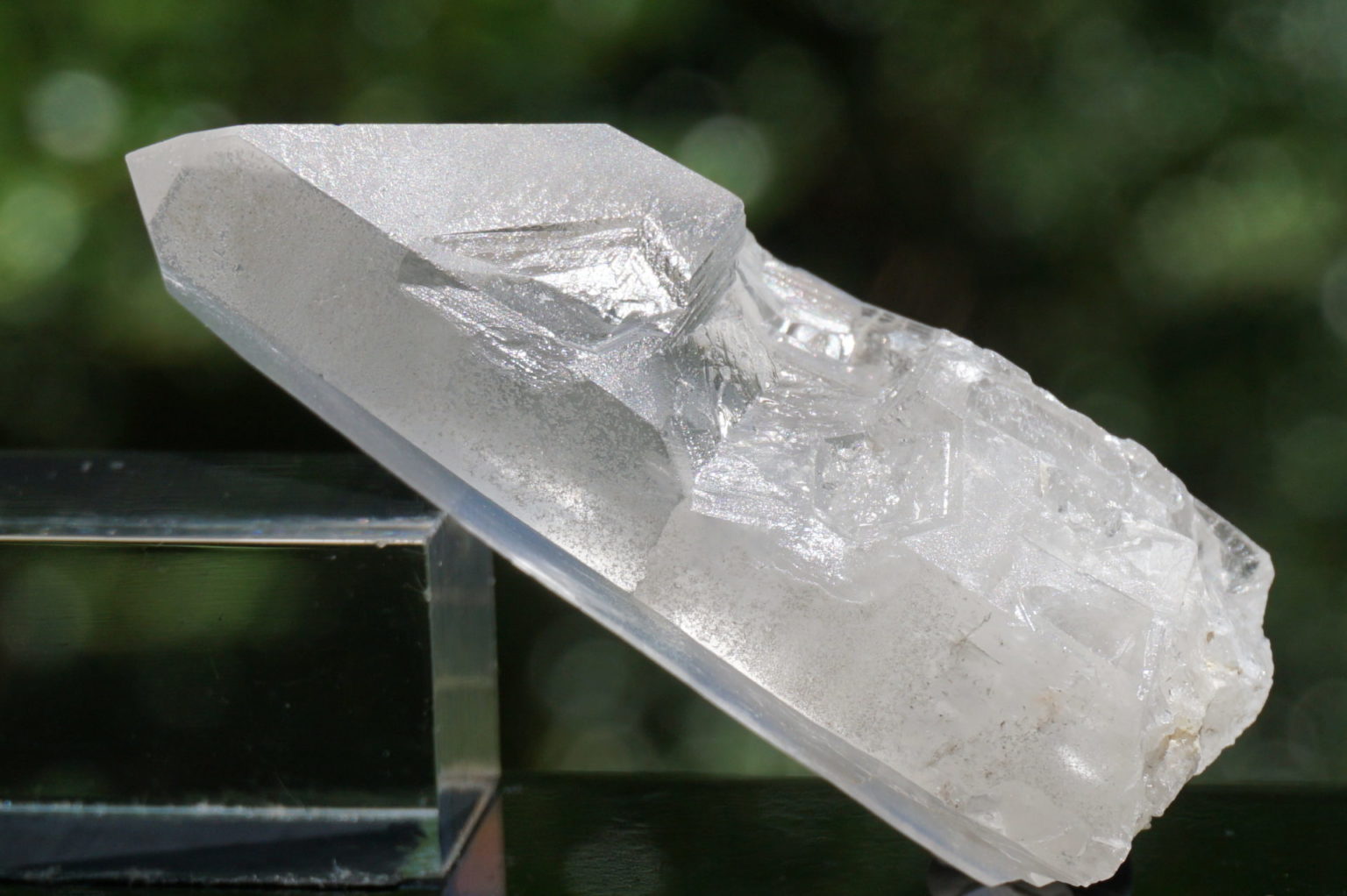 bahia-lemurain-natural14