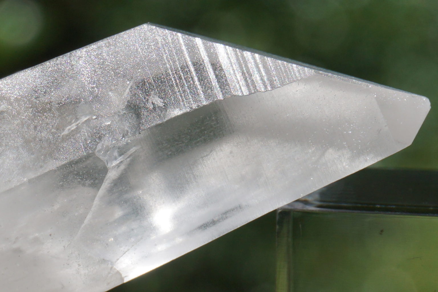 bahia-lemurain-natural14