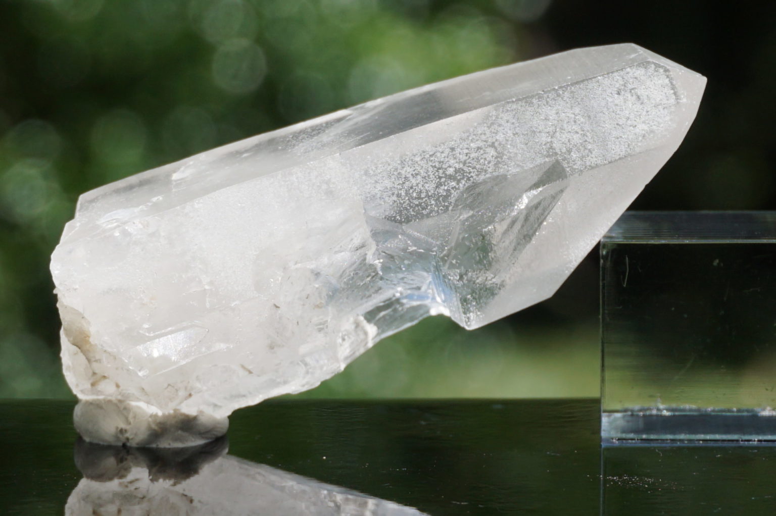 bahia-lemurain-natural14