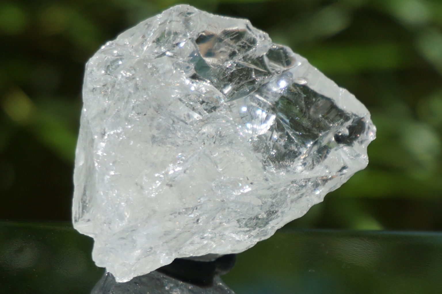 bahia-lemurain-rough08