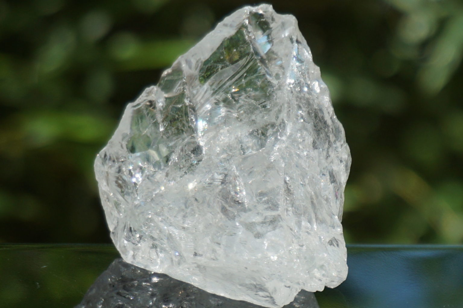 bahia-lemurain-rough08