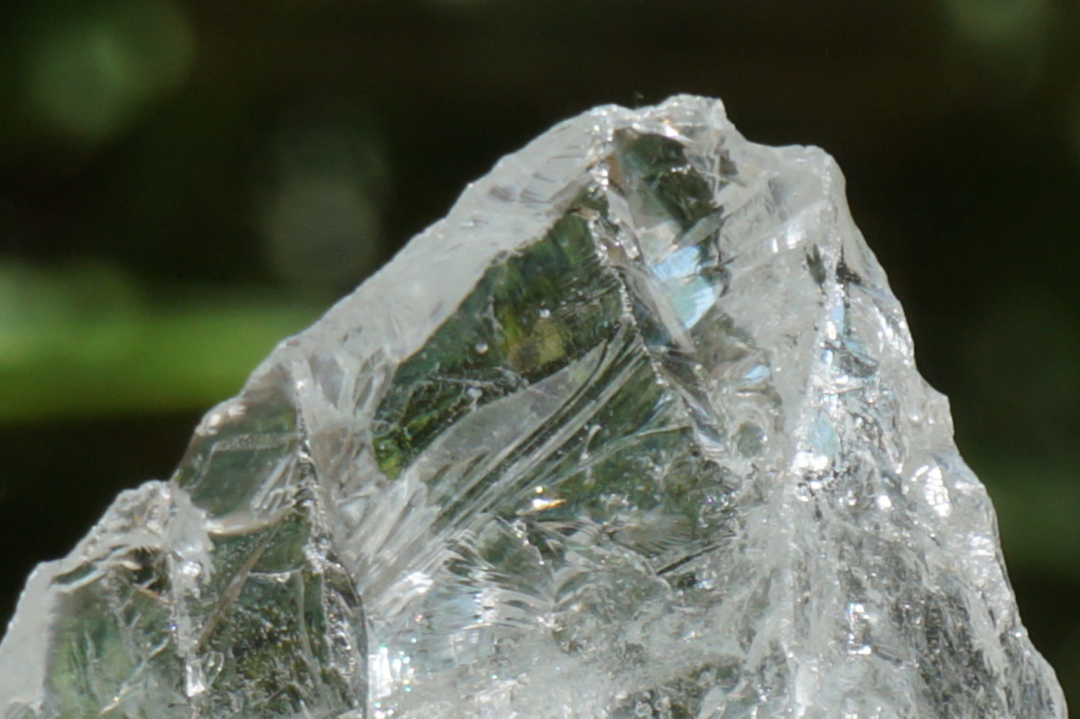 bahia-lemurain-rough08