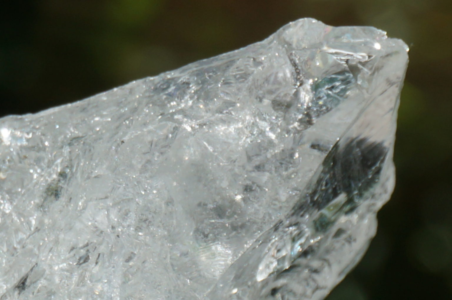 bahia-lemurain-rough08