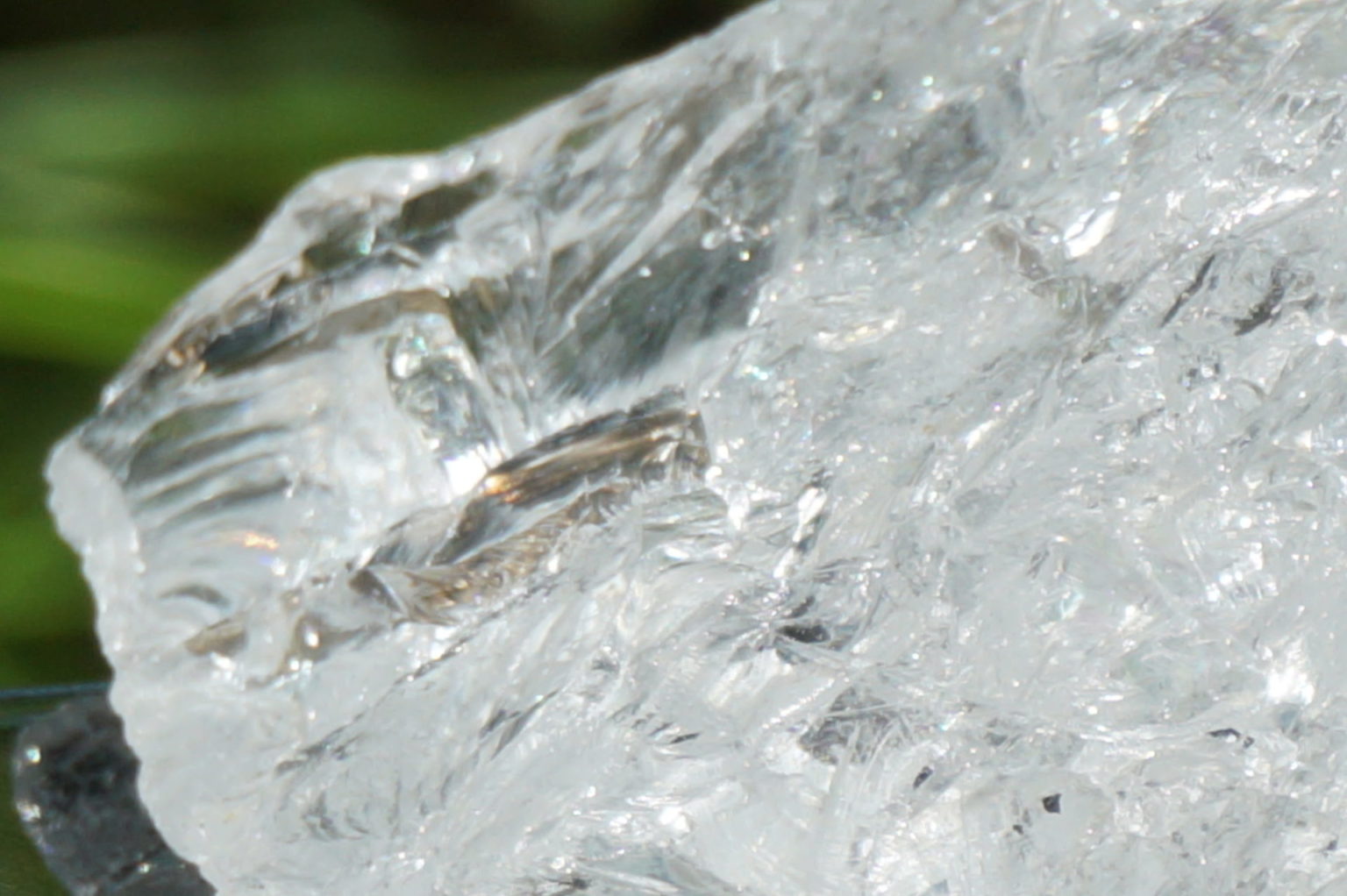 bahia-lemurain-rough08