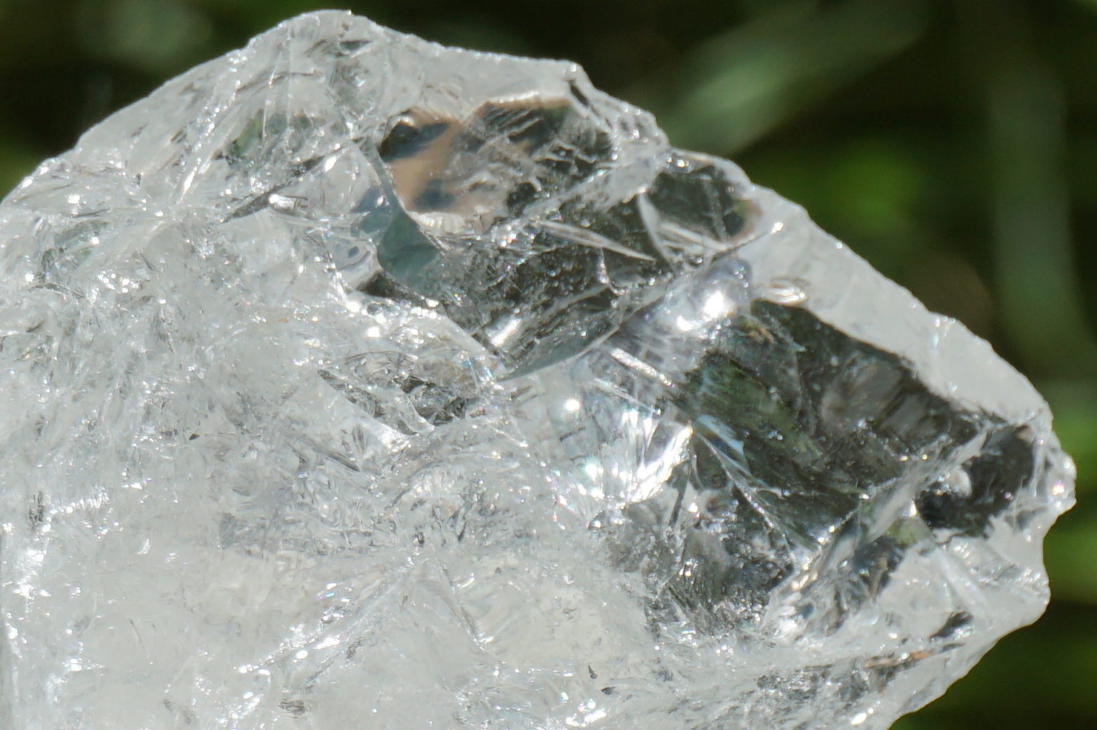 bahia-lemurain-rough08