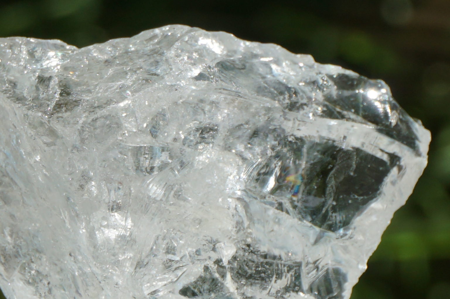 bahia-lemurain-rough08