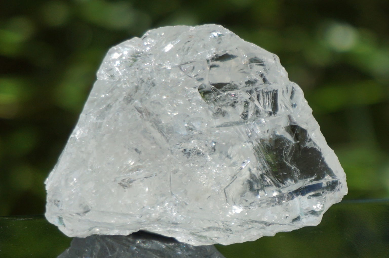 bahia-lemurain-rough08